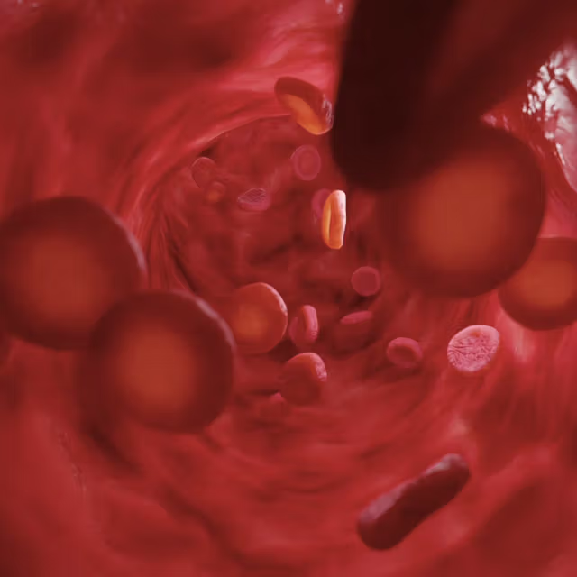Urolithin A gets absorbed